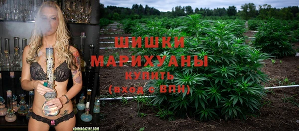 apvp Валдай