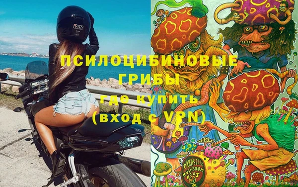 героин Богданович