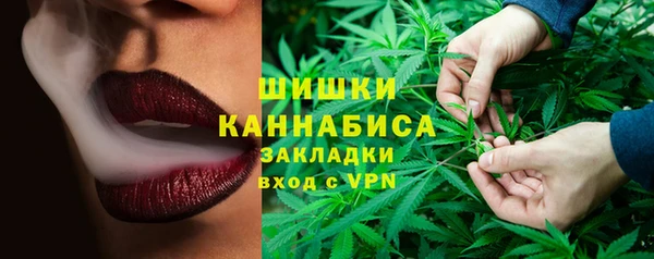соль ск Бронницы