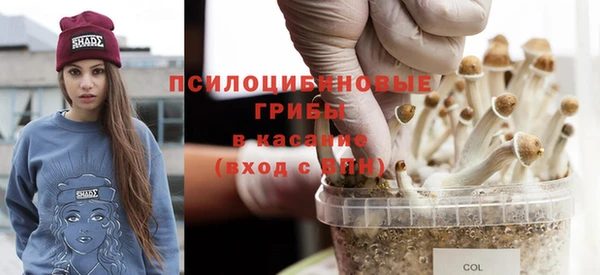 соль ск Бронницы